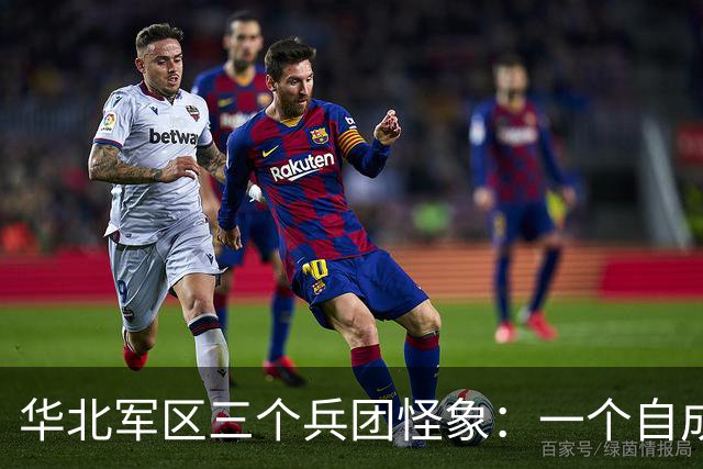 华北军区三个兵团怪象：一个自成一体，另两个大战时不受军区指挥