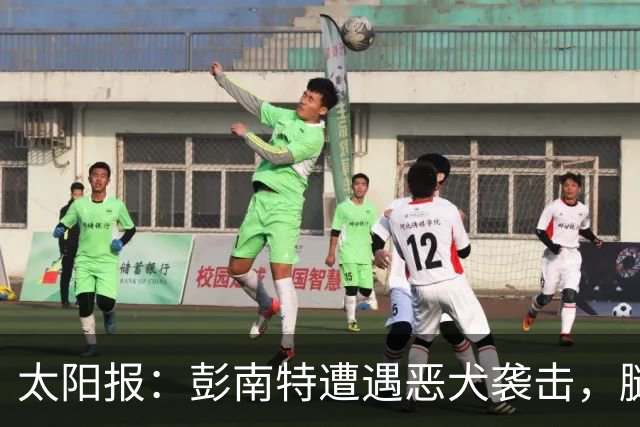 太阳报：彭南特遭遇恶犬袭击，腿部缝50余针，自家爱犬救主