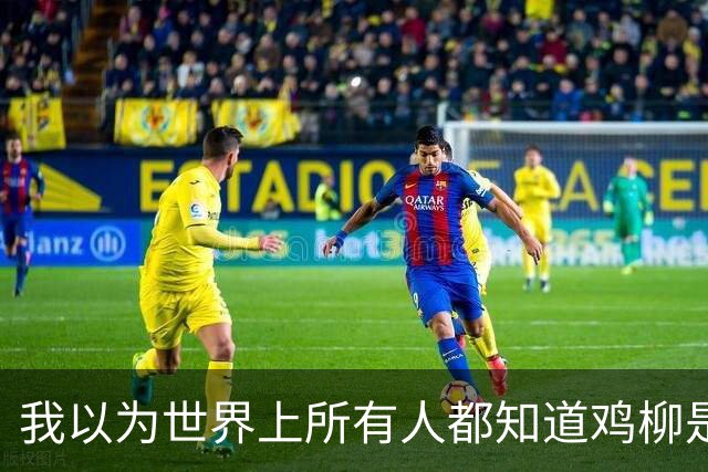 我以为世界上所有人都知道鸡柳是什么？直到我点开了这个帖子…