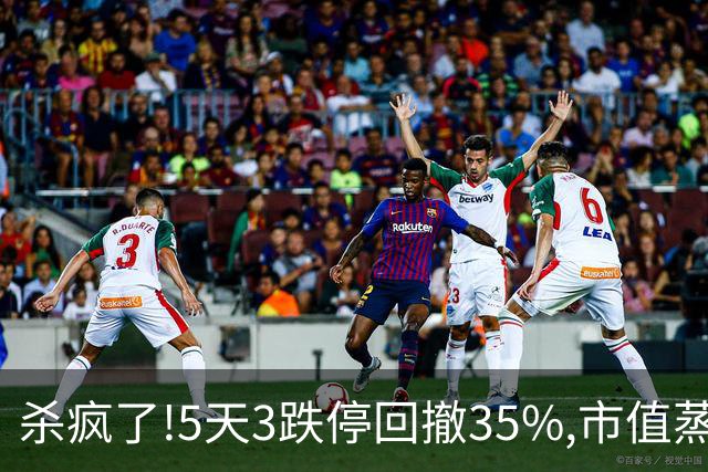 杀疯了!5天3跌停回撤35%,市值蒸发超43亿，8.6万股民全套！