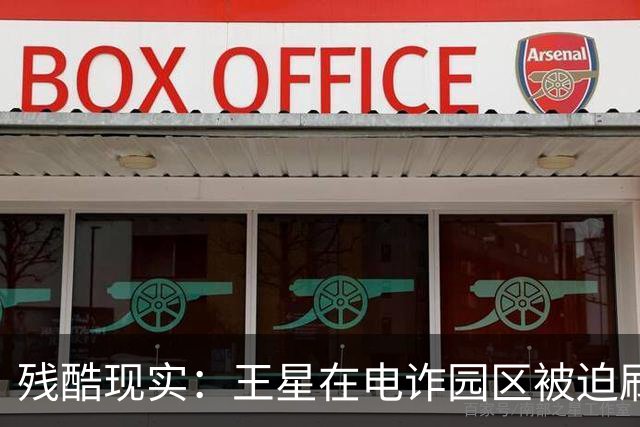 残酷现实：王星在电诈园区被迫刷脸借贷，被救1年多，仍分期还钱
