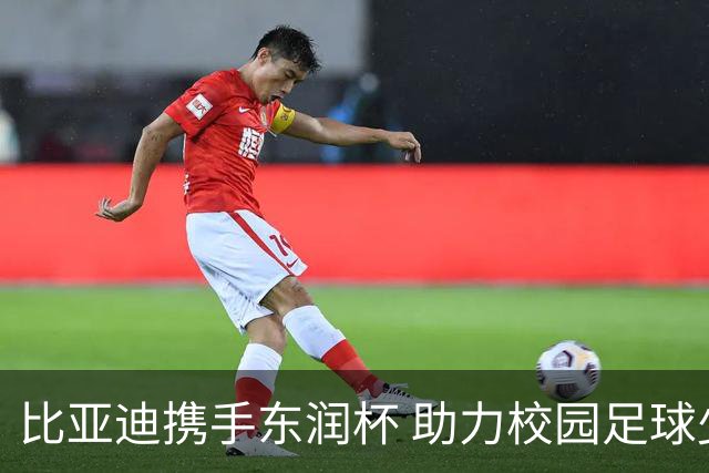 比亚迪携手东润杯 助力校园足球少年圆梦工体