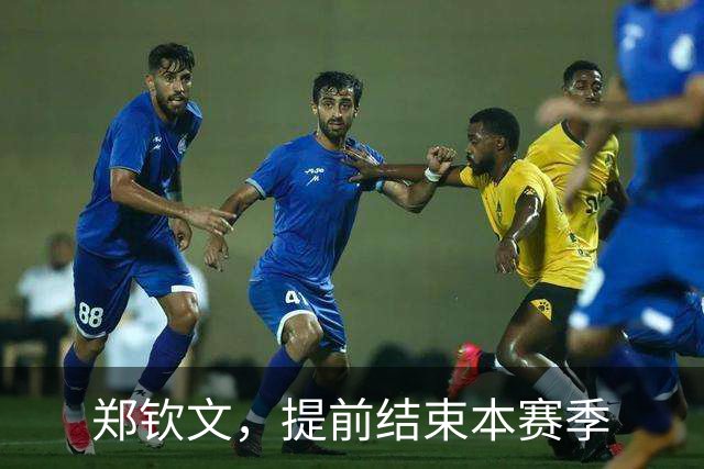 郑钦文，提前结束本赛季